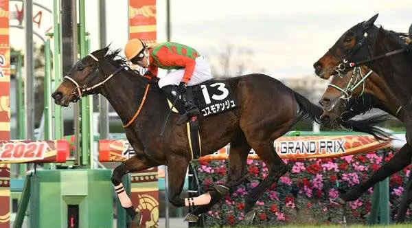 生産馬 コスモアンジュ 優勝