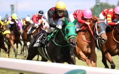 当牧場生産馬バオバブスピリットが２勝目をあげました